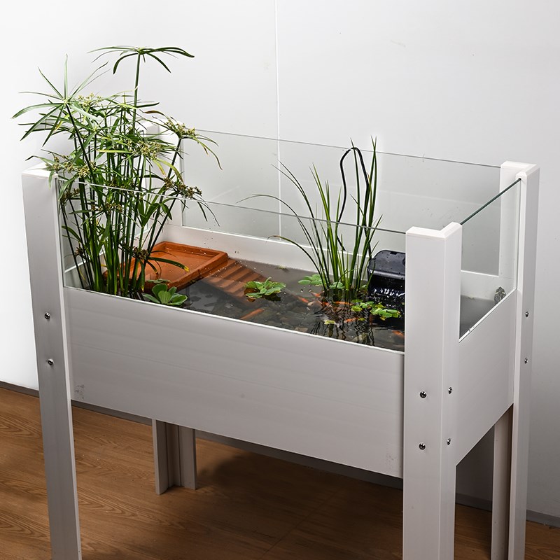 热销乌龟缸水生植物造景水龟饲养生态环境专用水培石菖蒲水竹养龟
