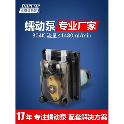 杰恒304K蠕动泵大流量自吸循环泵24v糖浆泵饮料灌装机小型抽水泵