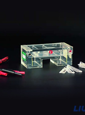 。北京六一DYCP-31C/E琼脂糖水平电泳槽鉴定分离制备DNA测定分子