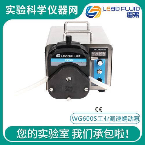 。保定雷弗WG600S工业调速型蠕动泵YZ35泵头数显转速304不锈钢外