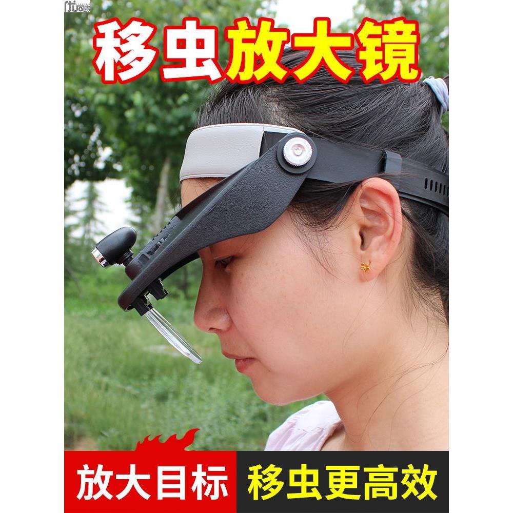 移虫放大镜育王取浆头戴式带led灯养蜂工具蜜蜂用头灯扩大镜蜂箱