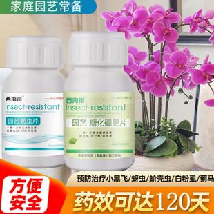 园艺除虫片防害虫片小黑飞蚜虫蓟马白粉虱小菜蛾飞花卉植物通用型