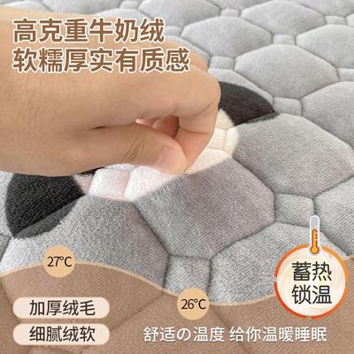 绒拉夏贝尔牛奶冬床EIQ垫舍软垫家用绒毯垫被褥子宿学生季加绒床