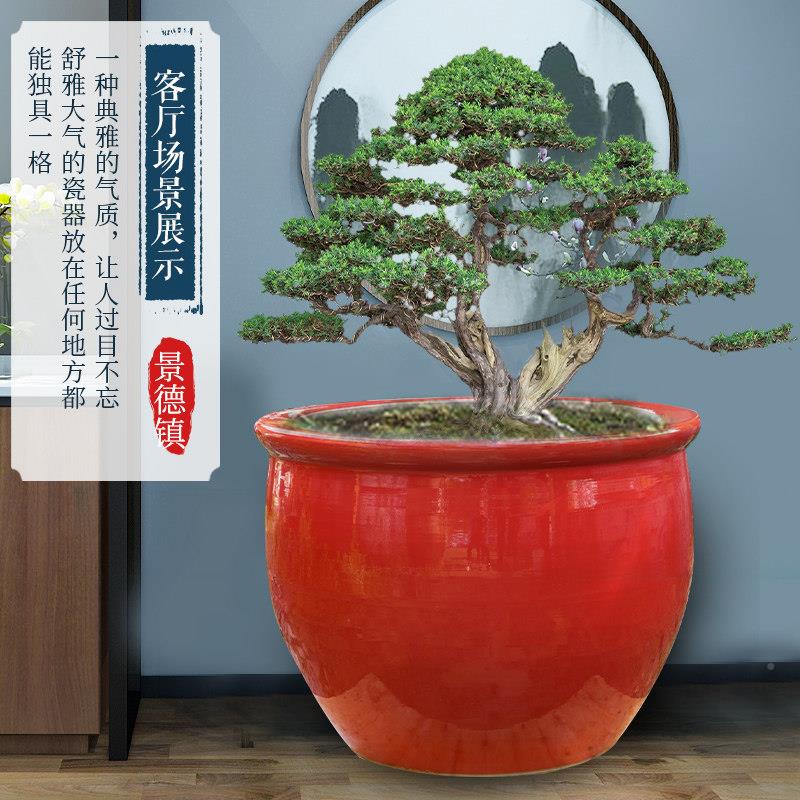 树景德镇陶瓷大外缸种室荷花睡莲养鱼盆招乌龟老式水缸财CGZ大号