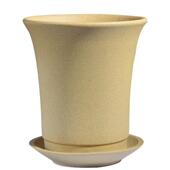 矮兰花春兰兰种草瓷紫砂盆多0621清雅肉文老桩陶小花盆竹带托盘兰