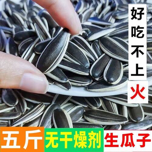 25年内蒙古新瓜子饱满大颗粒