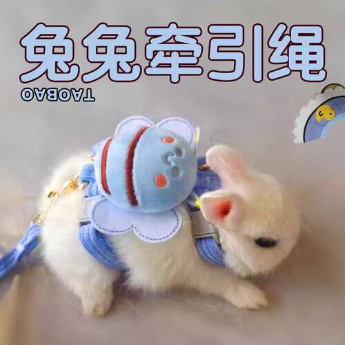 小兔子牵引绳幼兔侏儒兔专用溜兔绳穿的工字防挣脱外出外带可调节