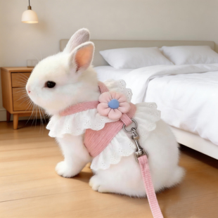 小兔子牵引绳防挣脱蕾丝小花胸背带遛兔绳狗狗猫咪宠物衣服春夏季