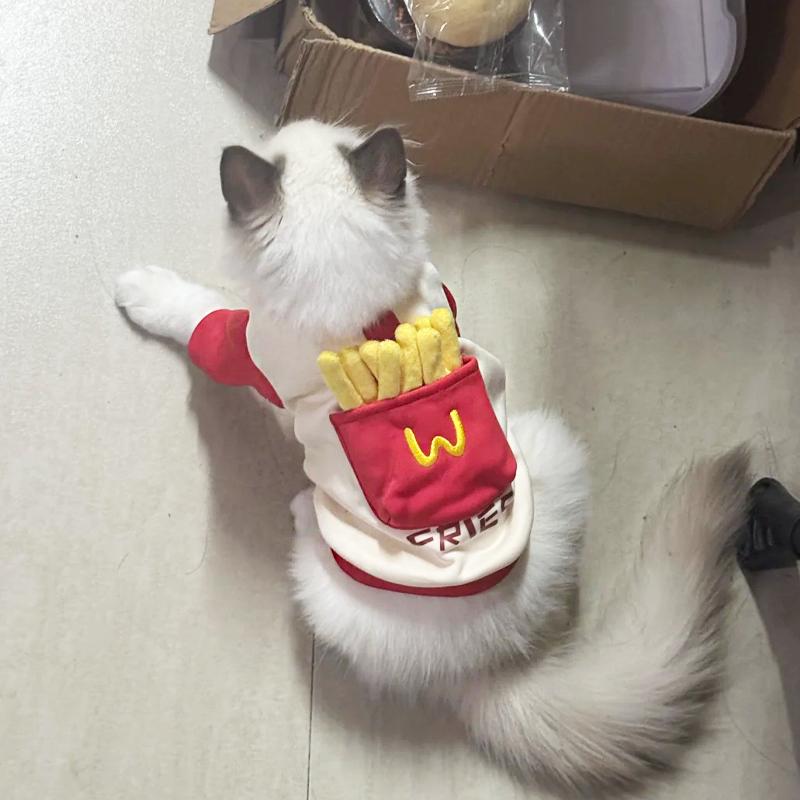 猫咪衣服防掉毛布偶蓝猫