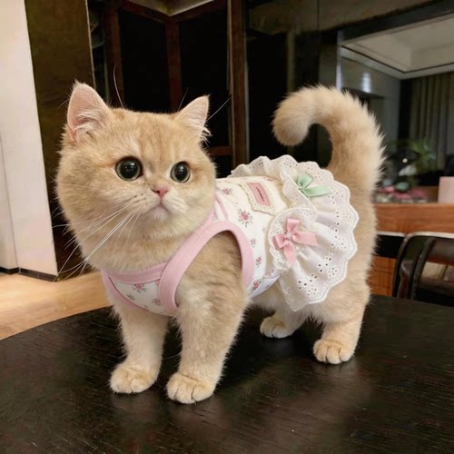 夏季猫狗防掉毛透气吊带裙