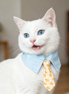 猫咪口水巾领带围脖围巾小印花宠物绅士西装风装饰防脏用品