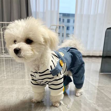 狗狗衣服春秋薄款四脚衣可牵引防掉毛透气保暖防晒背带裤猫咪服饰
