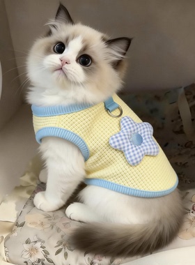 猫咪衣服薄款可爱黄色小花背心防掉毛布偶小型犬宠物防晒衫春夏季