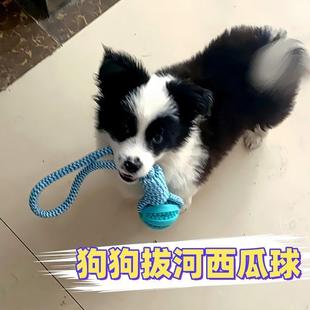 狗狗玩具磨牙洁齿互动拔河自嗨解闷神器泰迪比熊消耗体力可漏食球