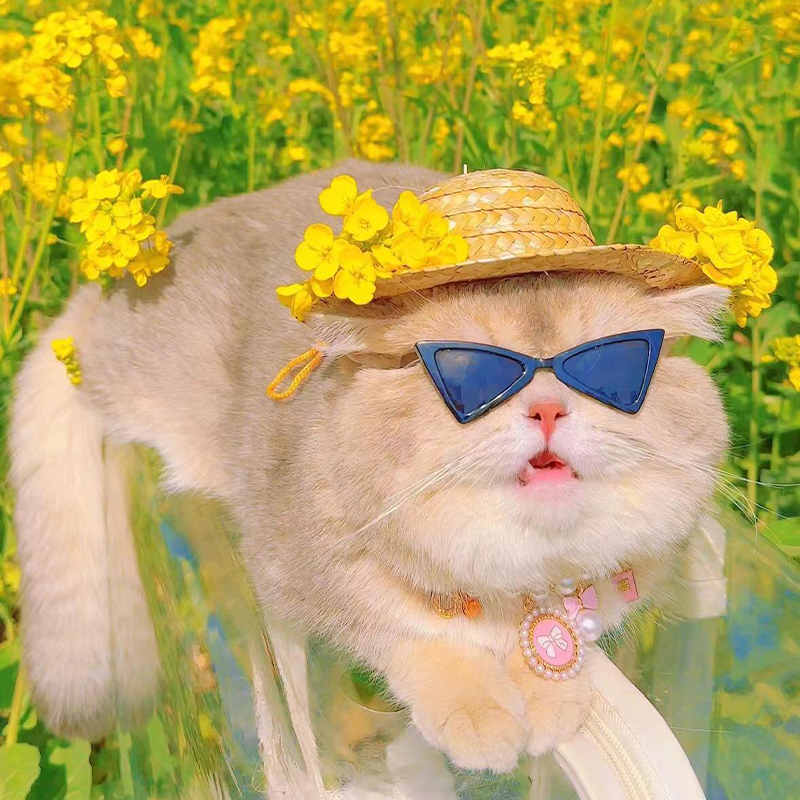 猫咪帽子春夏遮阳出游拍照可爱头饰德文外出防晒露耳朵小草帽配饰