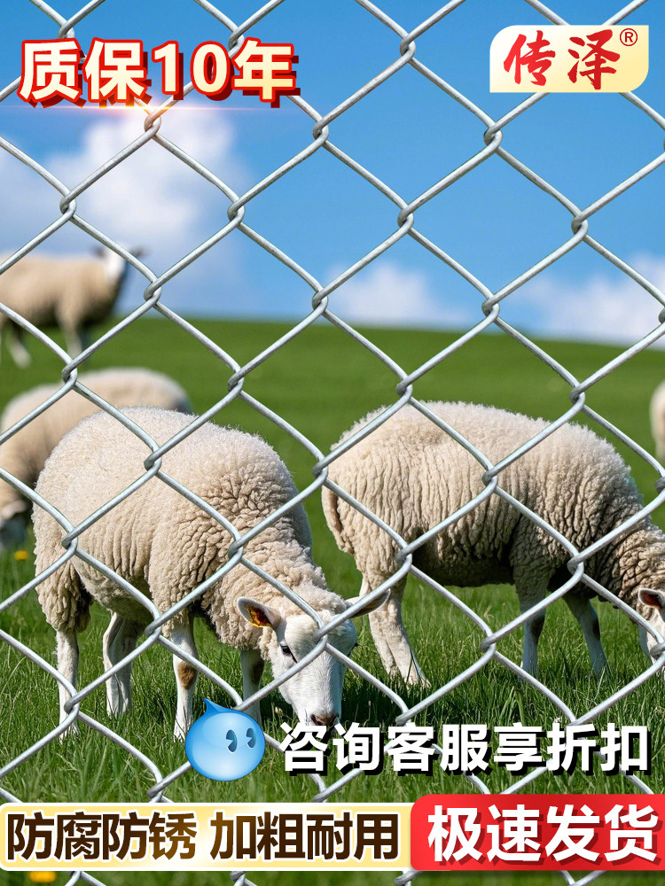 热镀锌钢丝网勾花铁丝网围栏网养殖护栏网养鸡圈牛羊菱形防护围网
