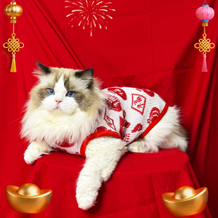 布偶猫咪衣服毛衣冬装厚款小猫防掉毛德文过冬可爱背心专用小宠物