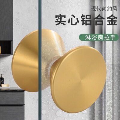 比凡单孔实心铝小拉手玻璃门