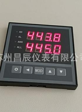 XSD2-BRT3A1B1M2V0控制仪器LED双通道数显表数字显示报警仪器