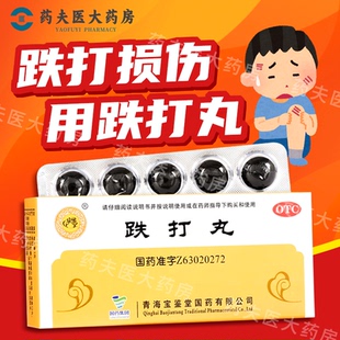 宝鉴堂 跌打丸 3g*10丸 活血散瘀 消肿止痛 跌打损伤 瘀血肿痛