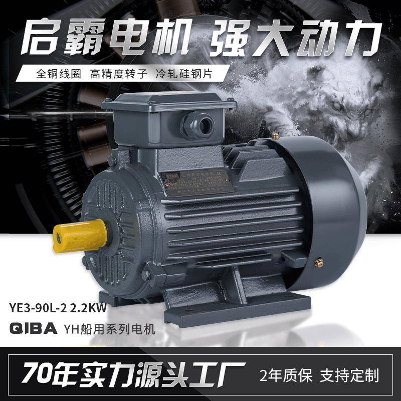 厂家直供Y3/YE3系列铁壳铝壳2.2w电机全铜芯三相异步交流电动机