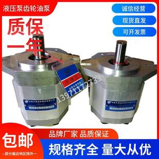 F532 合肥长源液压齿轮油泵CBF L液压泵CBF ALP ALH高压油泵 E540