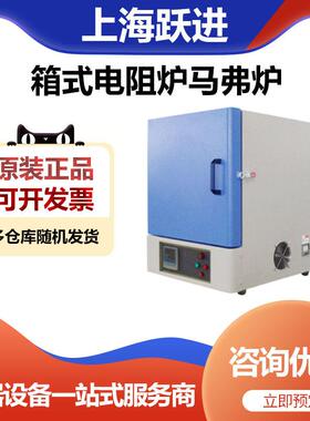 上海跃进SX2-8-10T箱式电阻炉马弗炉