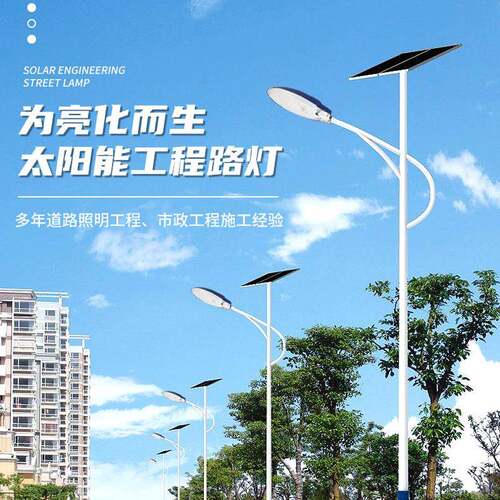 LED天宝新农村太阳能路灯5米6米7米工程照明乡村振兴扶贫光伏灯具