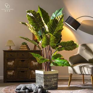 阔叶植物彩虹芋假树盆栽室内客厅绿植造景装饰摆件高端仿生植物