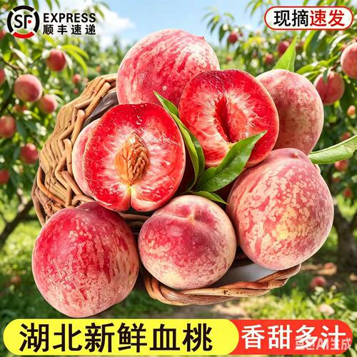 血桃新鲜水果湖北老树胭脂红桃子
