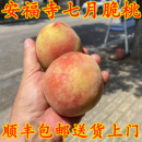 七月脆桃湖北水蜜桃新鲜水果毛桃红心硬脆桃正宗宜昌本地红心桃子