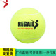 REGAIL羊毛训练网球Match 业余比赛网球 ball one Tennis