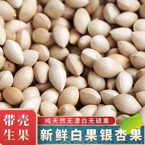 2025年新鲜大颗带壳白果银杏果无漂白特级包邮干货生百果王