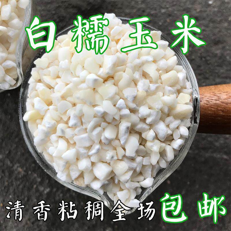 白粘玉米碴子干玉米粒白糯玉米碎白玉米东北大碴子白糯玉米颗粒