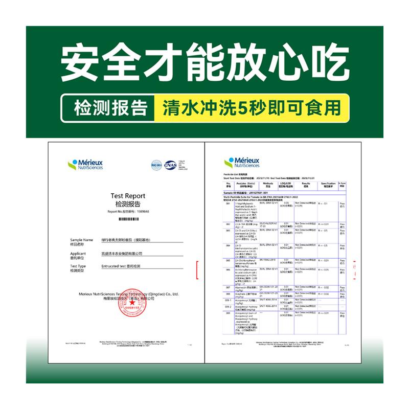 【绿行者】桃太郎番茄5斤装西红柿子新鲜生吃水果非普罗旺斯