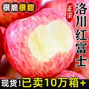 整箱特级冰糖心一级大10 陕西洛川苹果9斤新鲜水果红富士当季 包邮