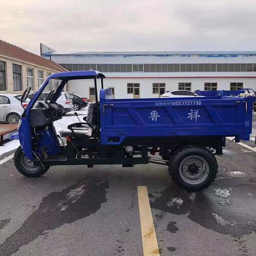 ZBY农用油三车轮 加厚车厢柴斗油三轮车 电柴启动液压自卸三轮翻
