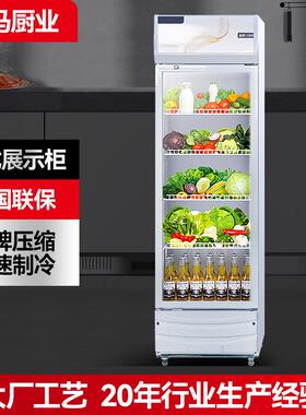 冷藏柜啤酒柜商用保鲜柜饭店便利店饮料柜单门铜管制冷风展示柜