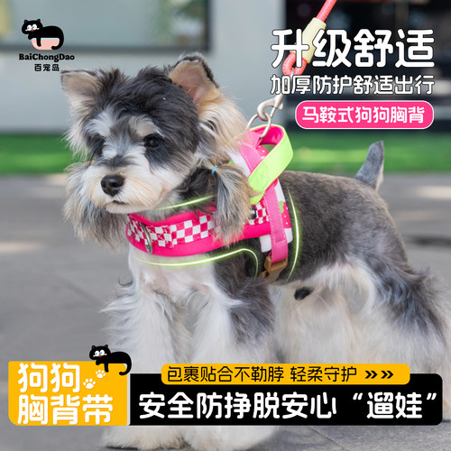 百宠岛小型犬防挣脱胸背牵引绳