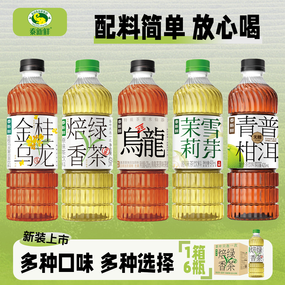 泰新鲜无糖茶饮多口味茶饮料茉莉雪芽金桂乌龙茶青柑普洱焙香绿茶图片