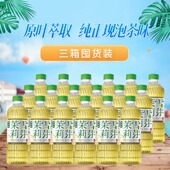 泰新鲜茉莉雪芽无糖茉莉花茶饮料420ml夏季 到手18瓶 解渴