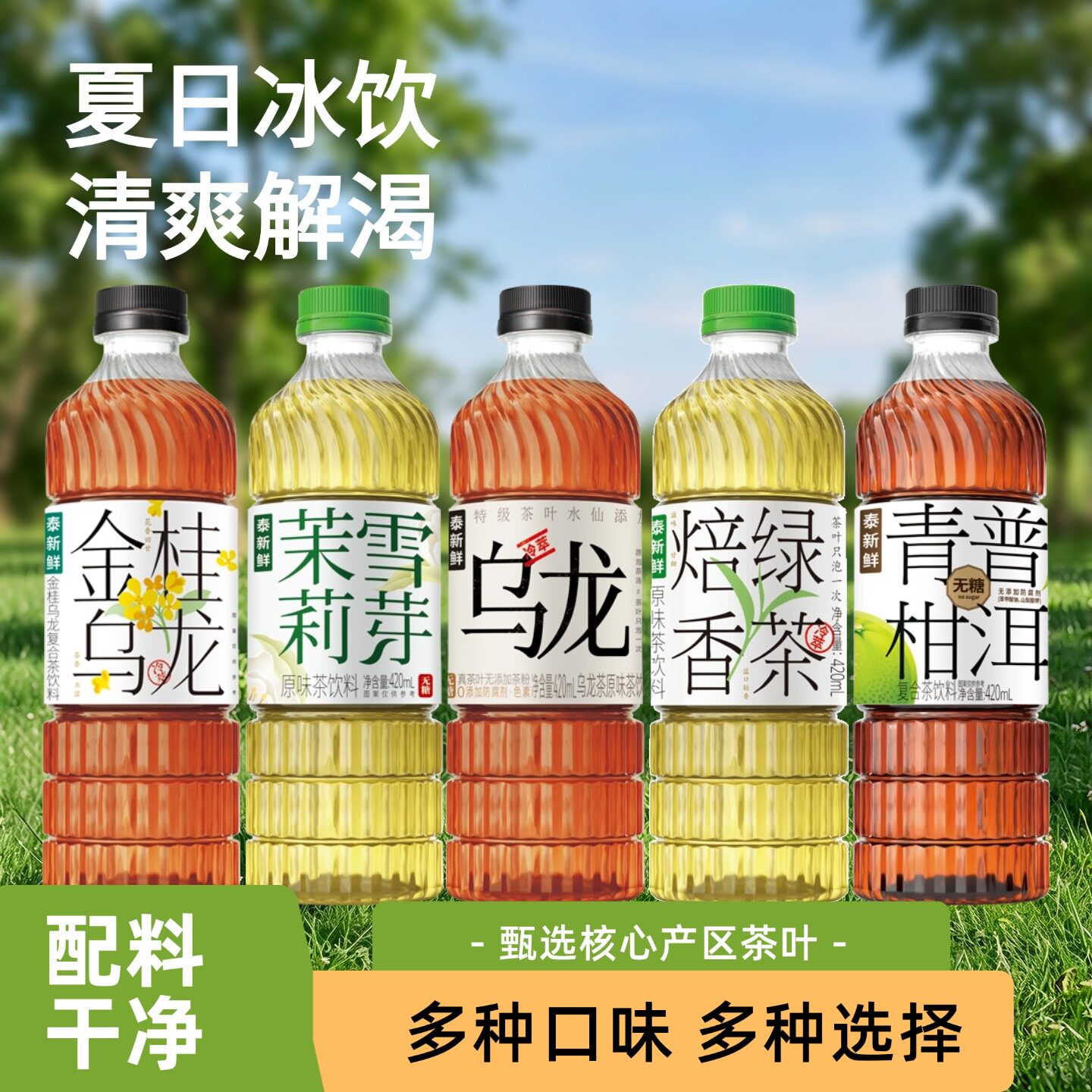 泰新鲜多口味茶饮料茉莉雪芽乌龙茶青柑普洱茶金桂乌龙焙香绿茶图片