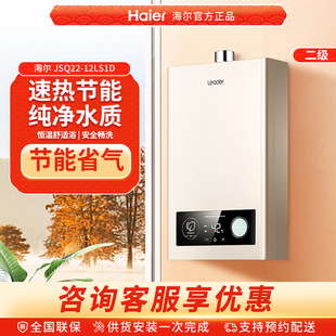 Haier/海尔 JSQ22-12LS1D