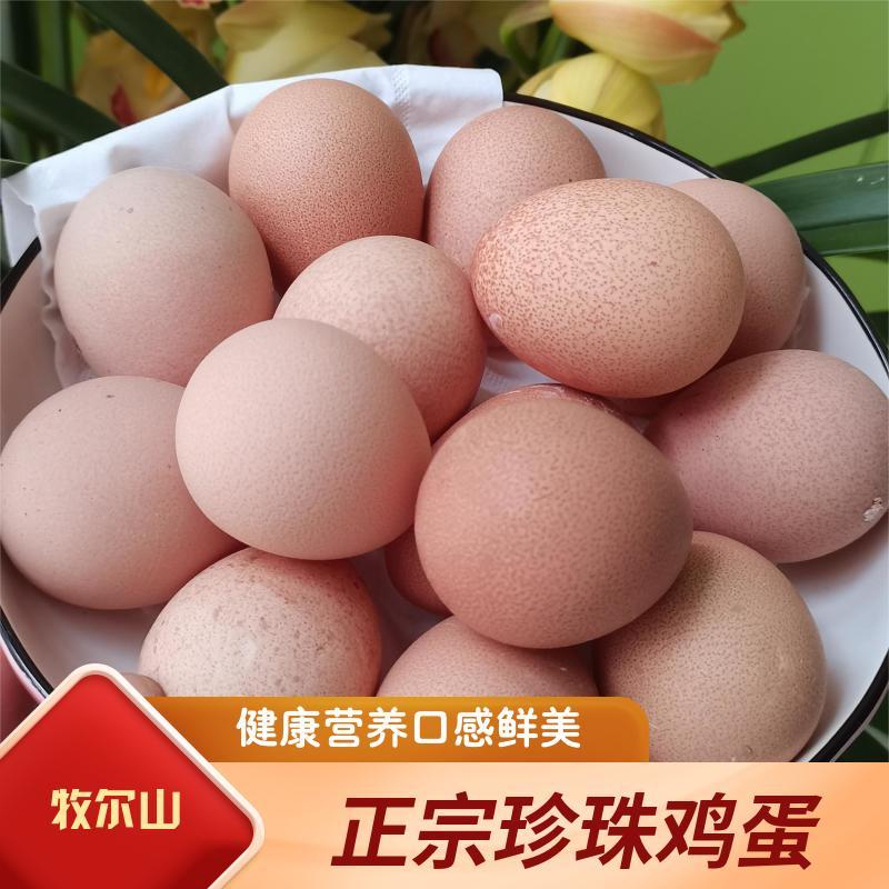 珍珠鸡鸡蛋牧尔山营养价值丰富