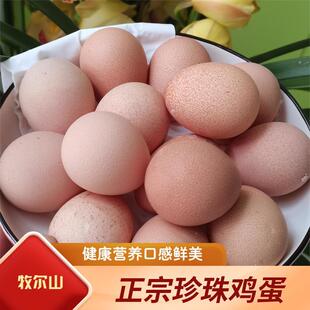 牧尔山正宗高原农家天然散养珍珠鸡蛋现捡现发健康绿色营养鸡蛋