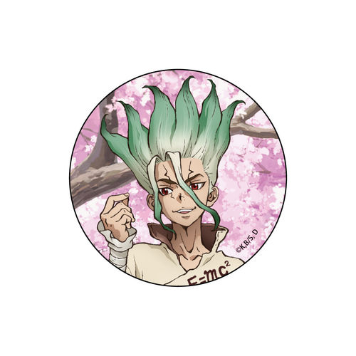 限购5/S补款石纪元Dr.S