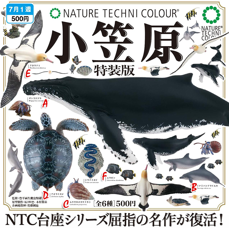 预售定金IKIMON日本TC