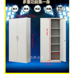 云南昆明办公家具钢制铁皮柜文件柜资料柜财务柜二门文件柜储物柜