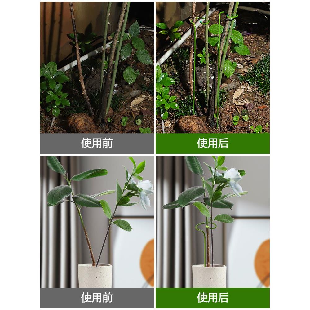 卡扣式花枝撑杆防倒定型固定器花草支撑架花卉扶正绿植保护植物架图片
