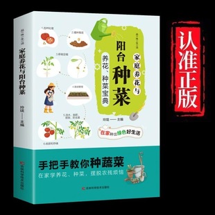 手把手教你种蔬菜 家庭养花与阳台种菜 现货 在家种出绿色好生活 正版